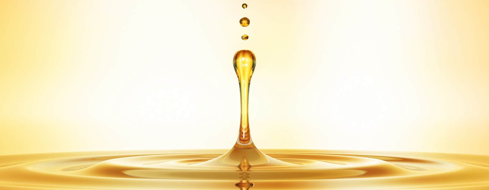 Kundendienst & Wartung